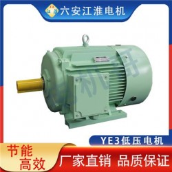 六安江淮电机代理商地址电话YE3系列三相异步电动机节能电动机