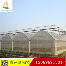 蔬菜溫室大棚，農業連棟溫室大棚，新型玻璃溫室大棚每畝造價