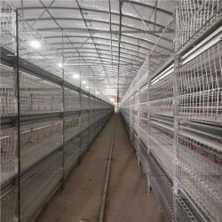 畜牧设备养殖业机械供应立式肉鸡笼三层四层肉鸡笼子层叠式育雏